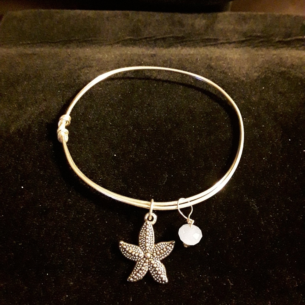 Silver bracelet 2 charms